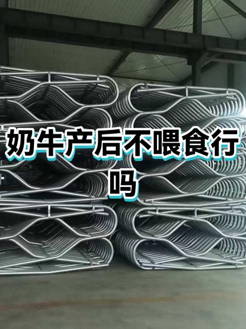 产后奶牛营养负平衡主要是什么缺乏