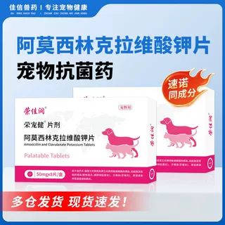 狗狗消炎药有哪些比较好缩略图
