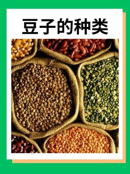 豆子种类大全