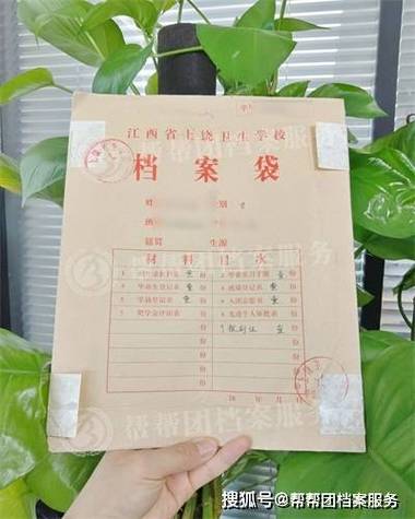 档案找不到了怎么办