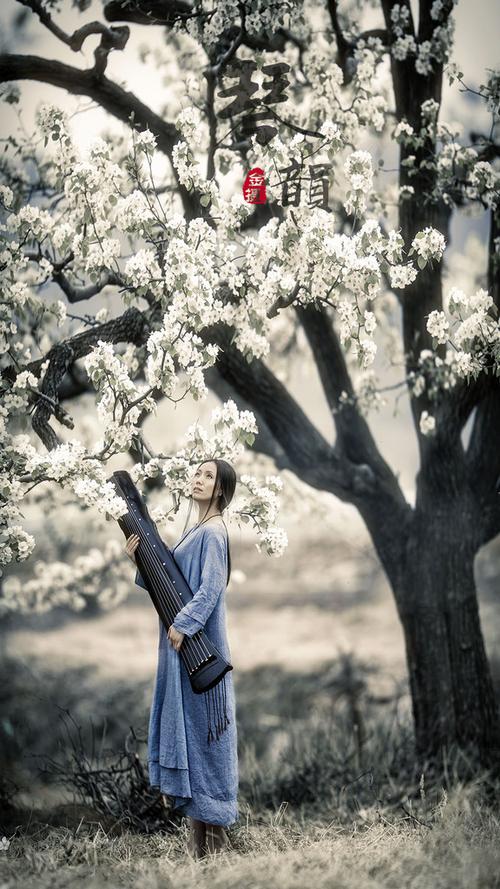 梨花写生诗句配美女
