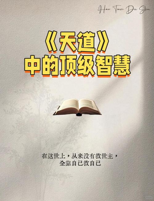 混沌小世界的天道