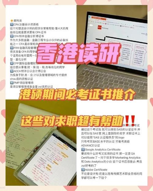 港硕一年多少钱