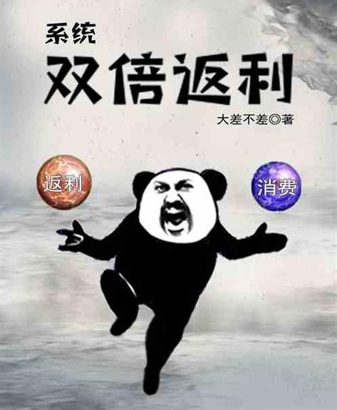 双倍返利系统