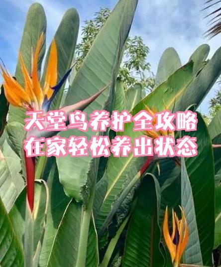 鸟进店了最忌讳三个图标