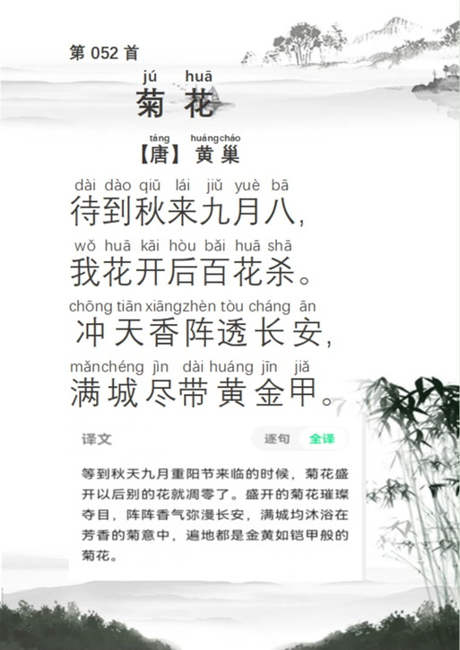 菊花注音版原文