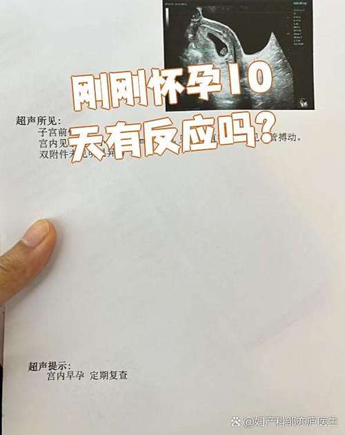 怀孕的初期症状缩略图