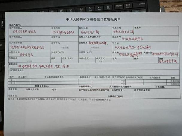 自己报关怎么报