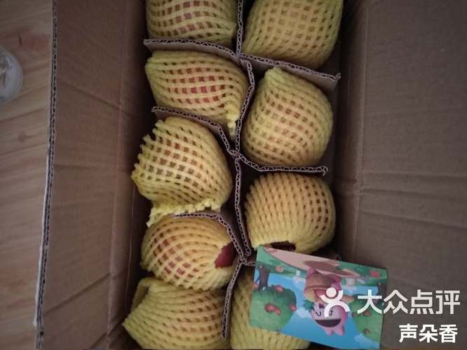 小美果园收到的水果