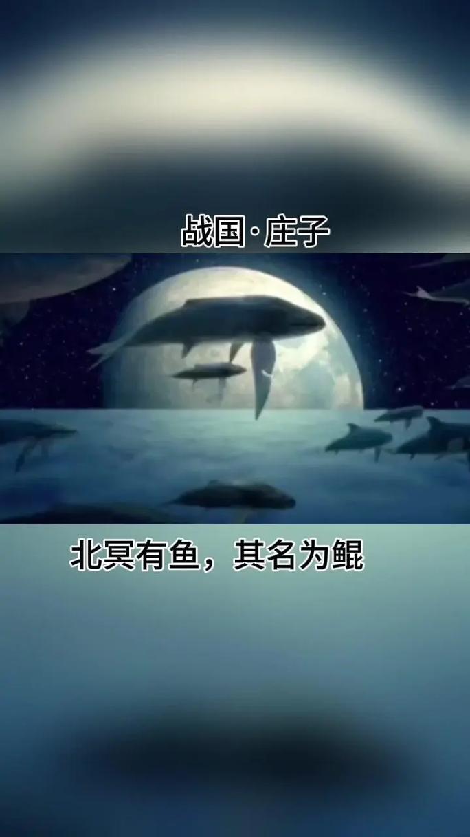 北冥有鱼暗部软件库安卓下载截图