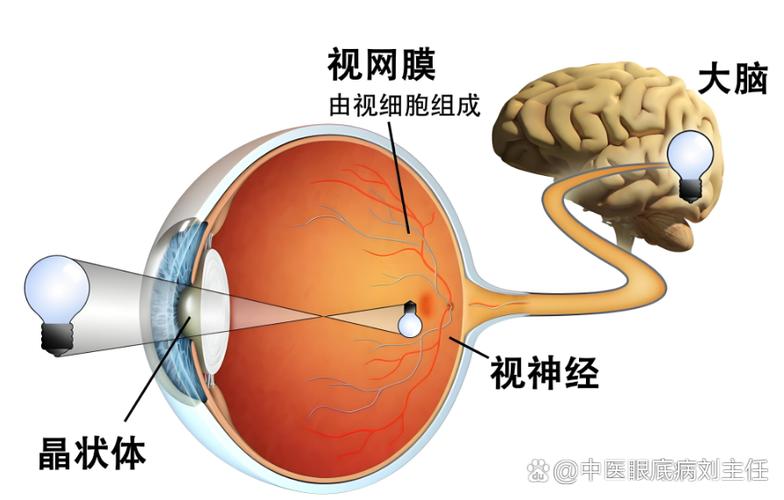 感觉自己视野变小了