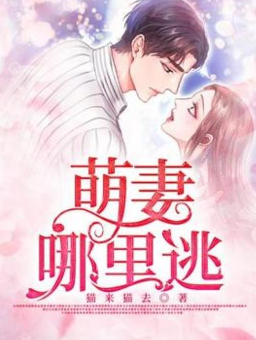萌妻哪里逃离婚在哪章