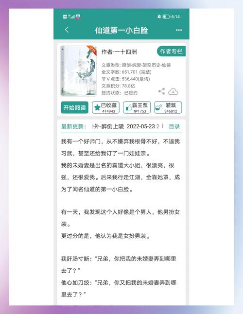 冰峰魔恋什么类型的书