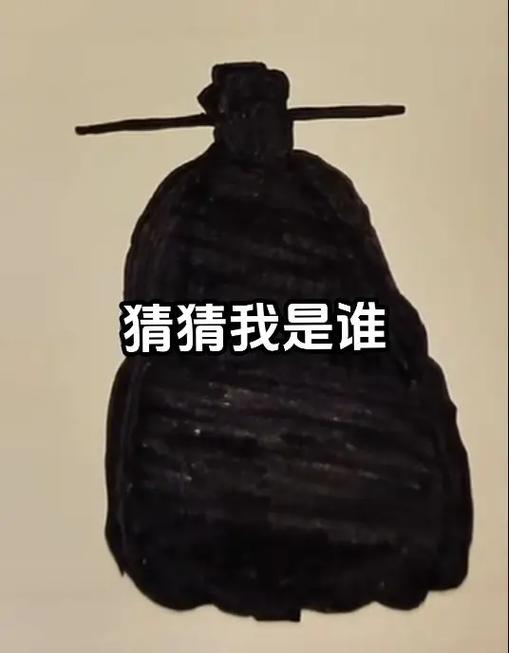 猜猜我是谁角色