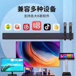唱吧话筒如何连接音响游戏截图