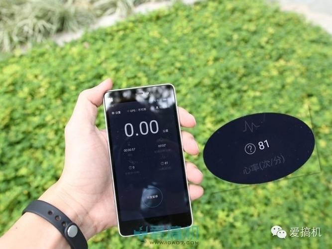 小米手环背面一直有绿色灯光在闪烁