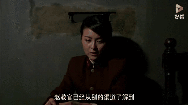 敌营十八年3碧血丹心