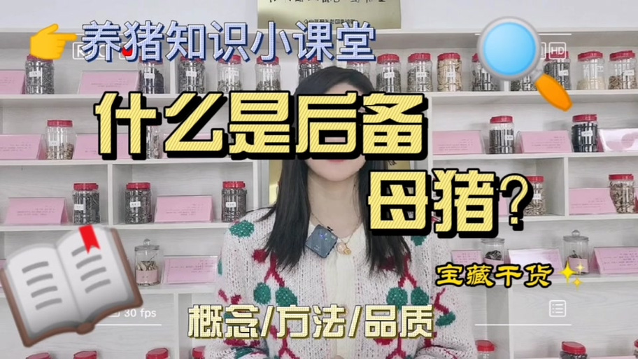 一起养猪是什么意思