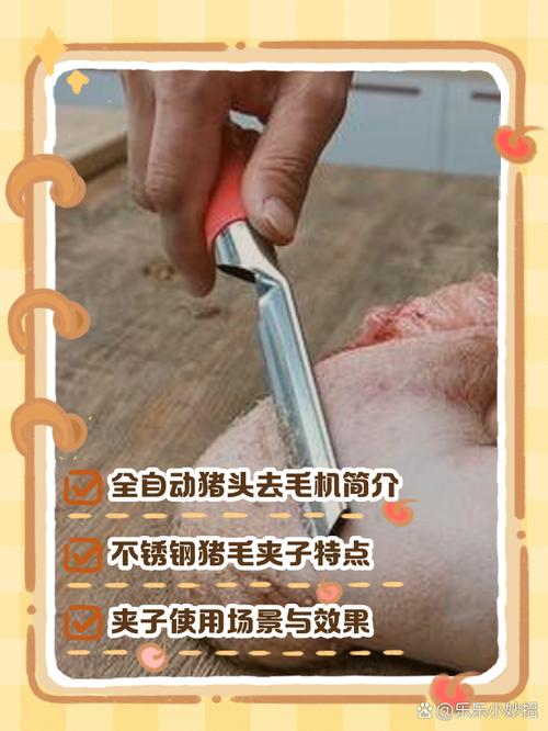 拨猪头毛用什么方法好