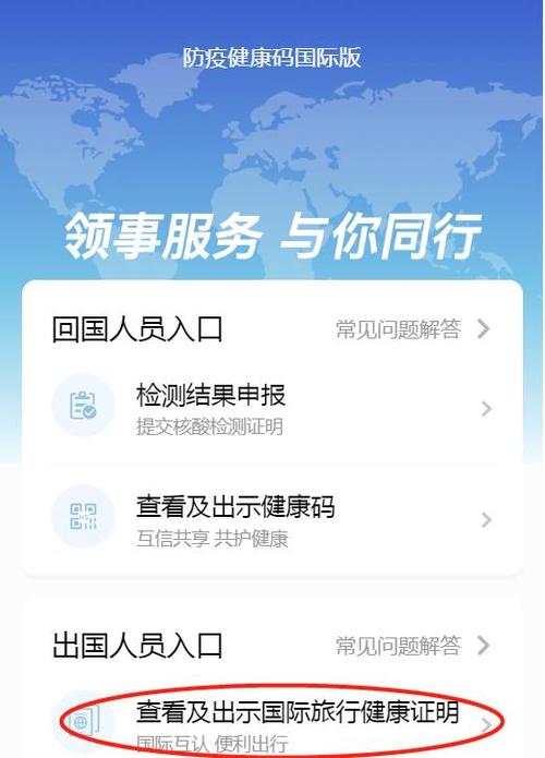 防疫健康码国际版