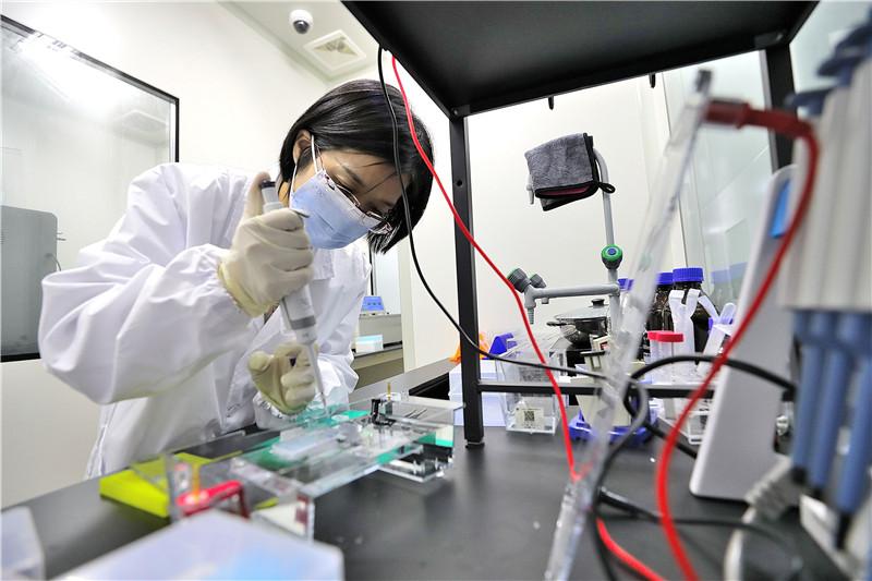 大千生物公司怎么样