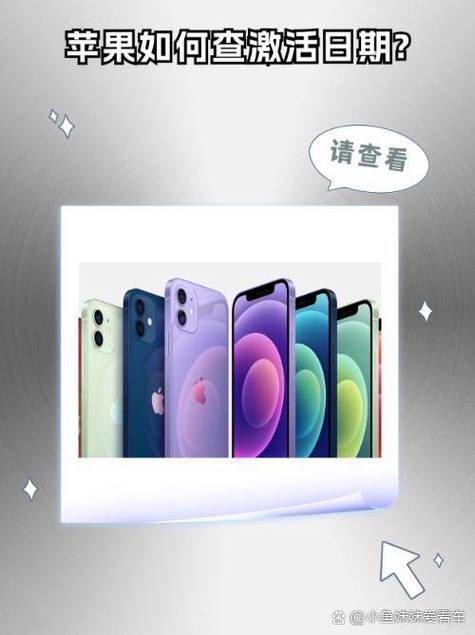 iphone怎么查下载记录