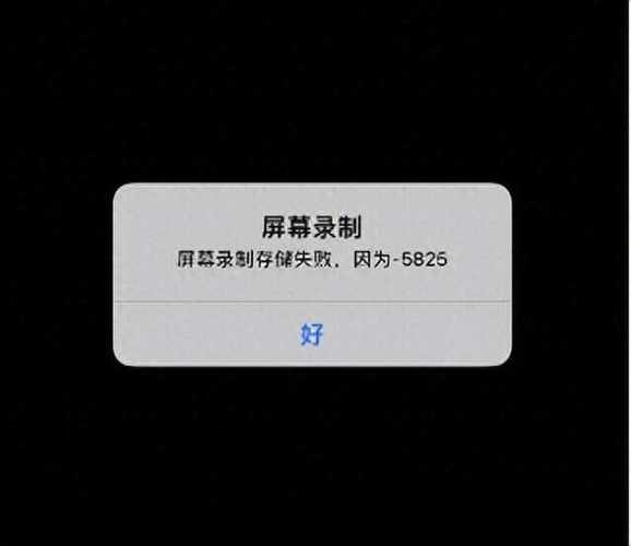 输密码时录屏是黑屏