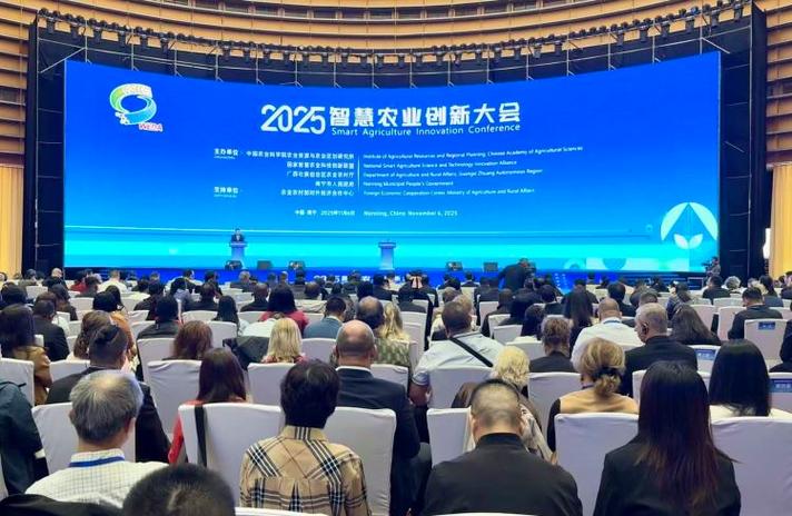 阿里巴巴数农国际是真的吗