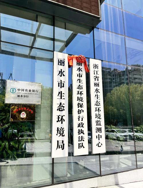 丽水先锋网官方网站
