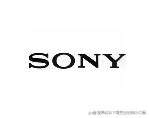 中国的索尼是日本产的吗