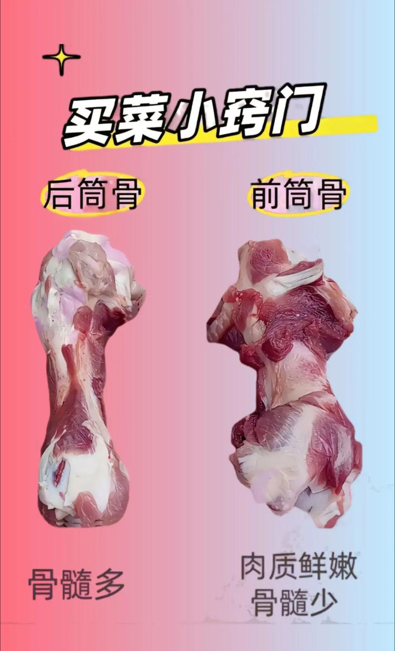 前后筒子骨怎么辨别截图