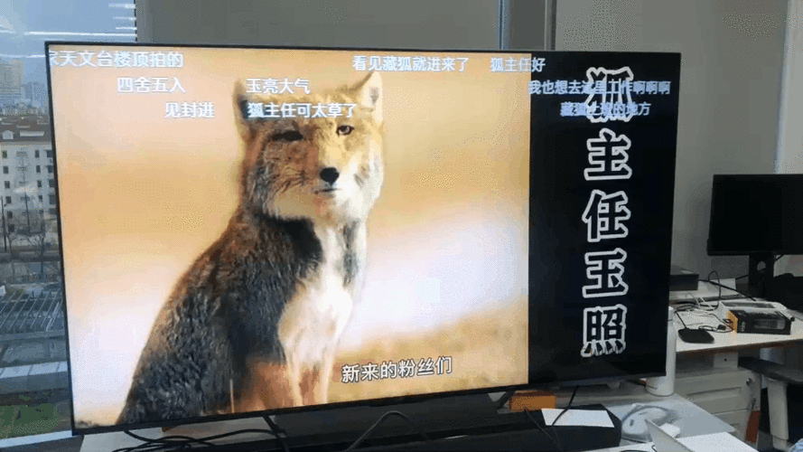 电视投屏可以有弹幕吗