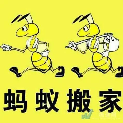 蚂蚁搬家app下载