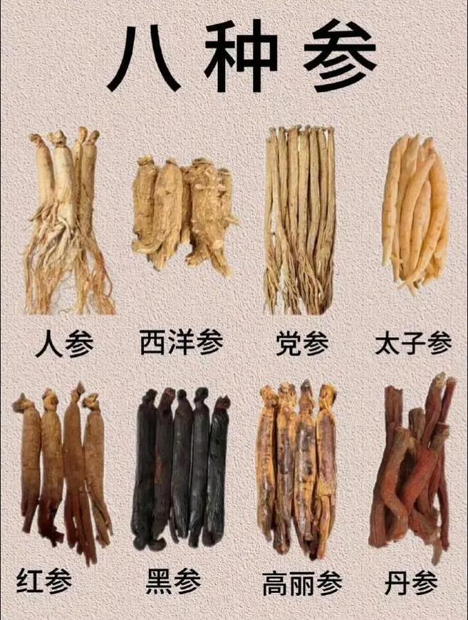cad显示外部参照丢失怎么办