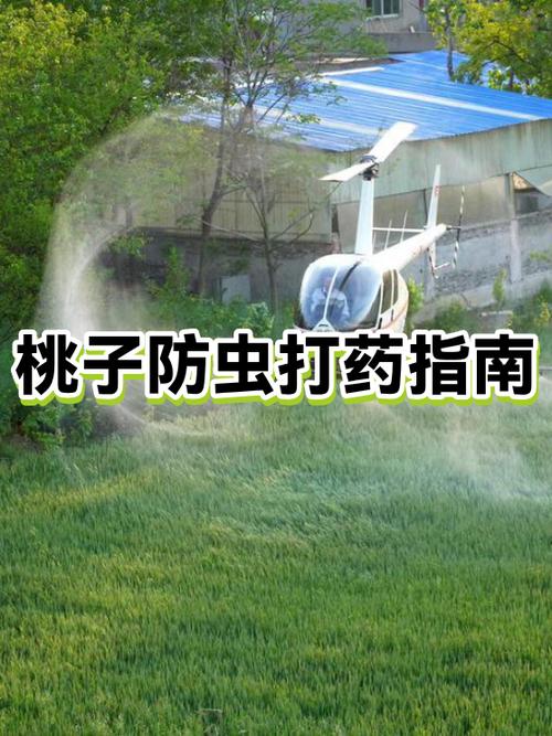 桃子打药一览表图标