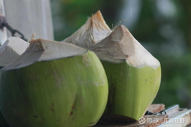 开一家专门卖椰子赚钱吗