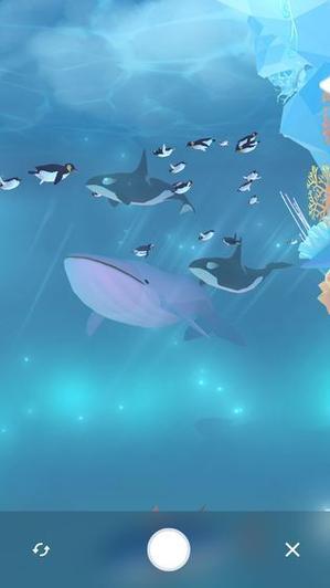 金多多水族馆怎么样缩略图