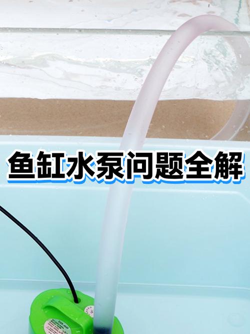 鱼缸水泵不出水是什么原因