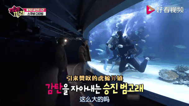韩国水上综艺
