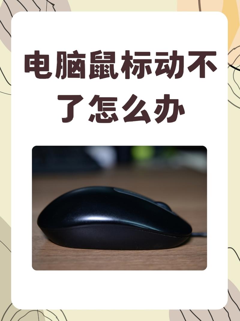 dell电脑鼠标动不了为什么