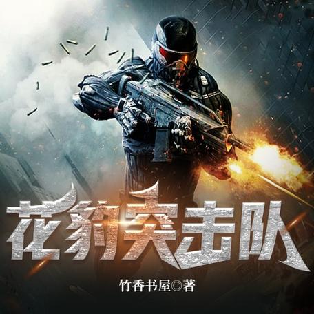 免费全本小说花豹突击队