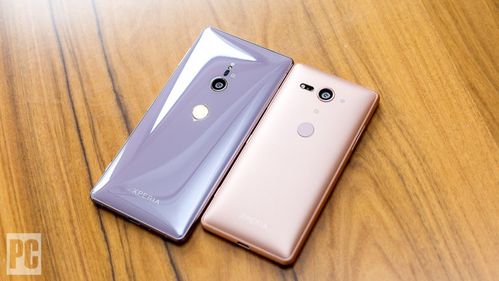 oppose的形容词形式游戏截图