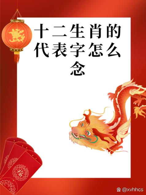会字代表最准确的生肖