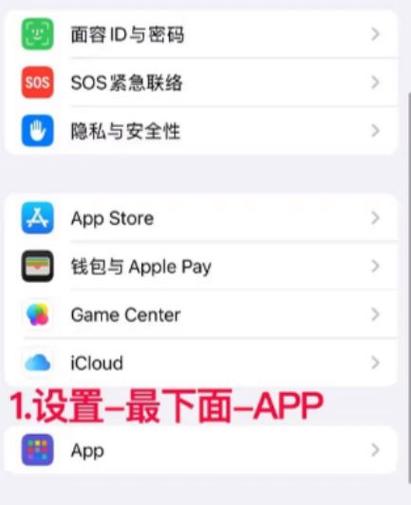 苹果13语音信箱开启步骤