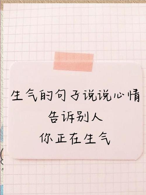 被某人气到了心情说说