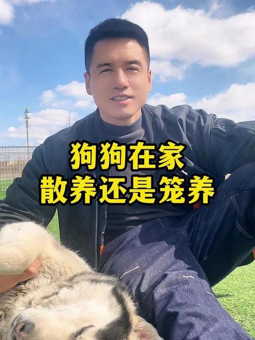 狗笼养好还是散养好