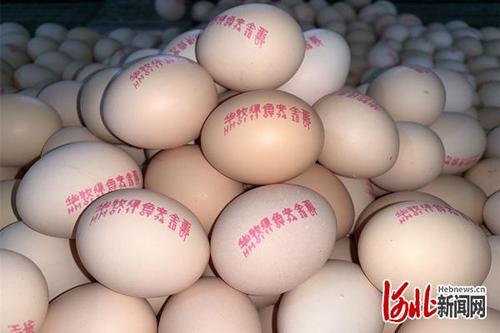 华牧牧业有限公司游戏截图