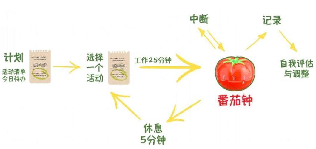 番茄法时间安排