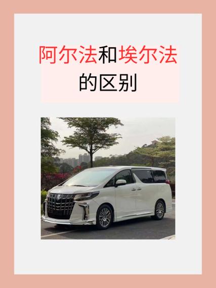 阿尔法特征