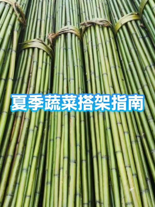 蔬菜货架安装方法
